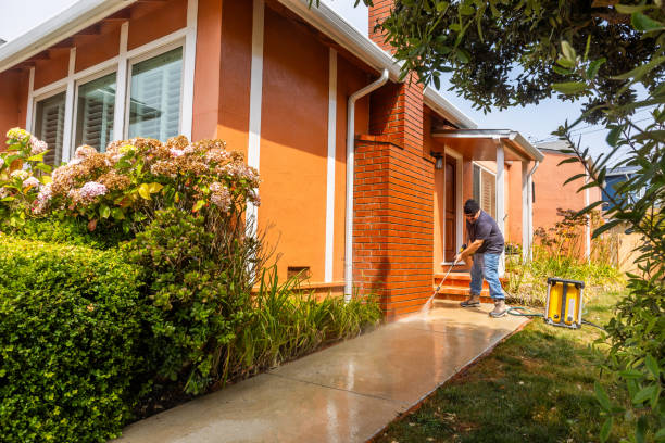 Best Affordable Pressure Washing  in Punta Gorda, FL