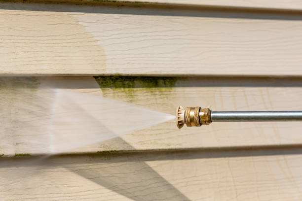 Best Roof Pressure Washing  in Punta Gorda, FL